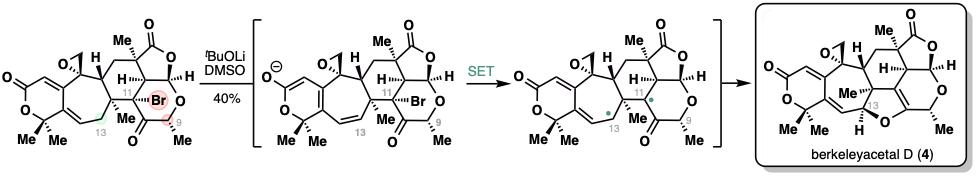 20250211-JACS-李超-4. 单电子转移(SET)构建二氢呋喃环的发现.jpg