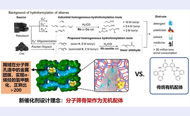 空白背景new  - 副本.jpg